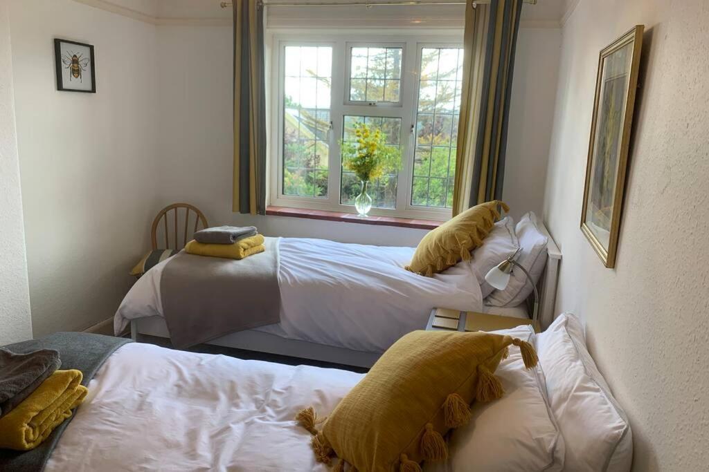 Hectors House Comfortable 4 Bed House In Mature Gardens Yelverton Eksteriør billede